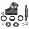 DELPHI TD140W Repair Kit, stub axle
